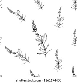 Black outline floral seamless pattern with lavender branch. Botanical illustration on white background. Vintage sketch. 