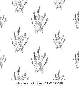 Black outline floral seamless pattern with lavender flowers sketch. Botanical pen illustration on white background. Vector pattern or card design. Vintage book sketch.