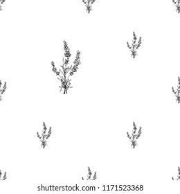 Black outline floral seamless pattern with lavender grass stems. Vintage sketch botanical illustration on white background. Vector pattern card design.
