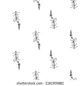 Black outline floral seamless pattern with lavender branch. Botanical illustration on white background. Vintage sketch. 