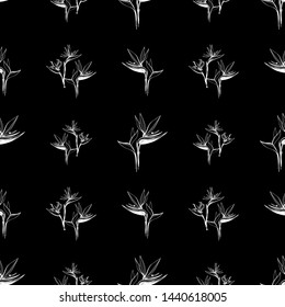 Black outline floral seamless pattern with white strelitzia flowers. Hand drawn line on black background.