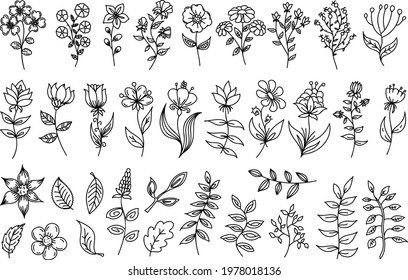 Black Outline Floral Set Group Thin Stock Vector (Royalty Free ...