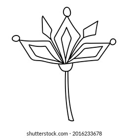 Black outline flower in modern boho style. Vector illustrations. Hand drawn floral doodles art isolated on white background.