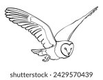 Black outline flying barn owl on white background. Graphic drawing. Vector illustration.