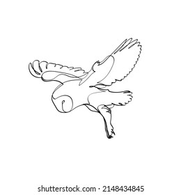 Black outline flying barn owl on white background. Graphic drawing. Vector illustration.