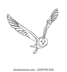 Black outline flying barn owl on white background. Graphic drawing. Vector illustration.