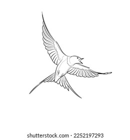 Black outline flying barn swallow on white background. Graphic drawing. Vector illustration.