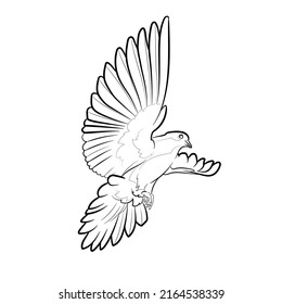 Black Outline Flying Dove On White Stock Vector (Royalty Free ...