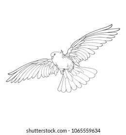 black outline flying dove with spread wings vector cartoon
