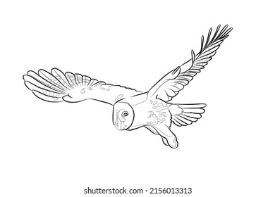 Black outline flying great grey owl on white background. Graphic drawing. Vector illustration.