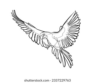 Black outline flying parrot (blue-and-yellow macaw) on white background. Graphic drawing. Vector illustration.