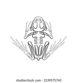 frog skeleton clipart