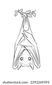 Black outline fruit bat on white background. Graphic drawing. Vector illustration.