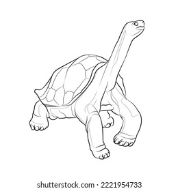 Tortuga gigante gigante Galápagos (Chelonoidis niger) en el fondo blanco. Dibujo gráfico. Ilustración vectorial.