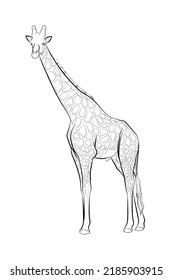 Black Outline Giraffe On White Background Stock Vector (Royalty Free ...