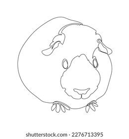 Black outline guinea pig on white background. Graphic drawing. Vector illustration.