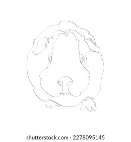 Black outline guinea pig on white background. Graphic drawing. Vector illustration.