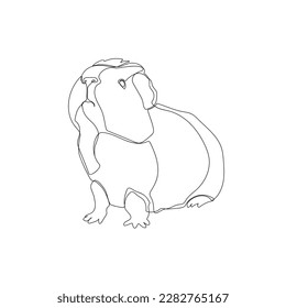 Black outline guinea pig on white background. Graphic drawing. Vector illustration.