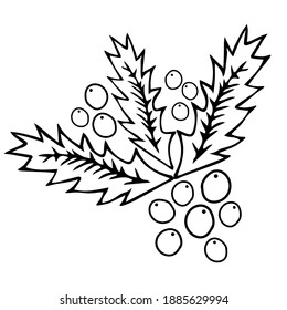Dibujo manual de contorno negro ilustración vectorial de una planta esculpida de Navidad aislada en un fondo blanco