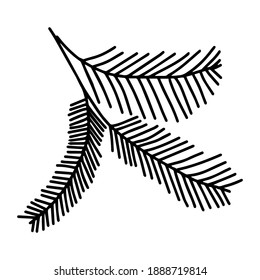 A Black outline hand drawing vector illustration of a carved Christmas fir branches isolated on a white background