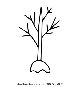 Black outline hand drawing vector illustration of a deciduous tree without leaves in fall isolated on a white background