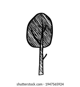 Dibujo manual de contorno negro ilustración vectorial de un abedul caducifolio con nieve en invierno aislada en fondo blanco