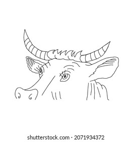 A Black outline hand drawing vector illustration of a cow with horns isolated on a white background