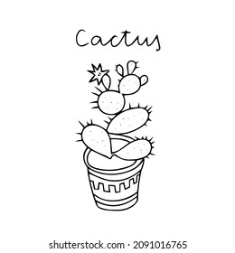 A Black outline hand drawing vector illustration of a decorative cactus Prickly pear plant in a pot isolated on a white background with spelling Cactus