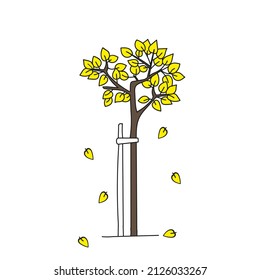 Black outline hand drawing vector illustration of a deciduous tree with yellow leaves in fall isolated on a white background