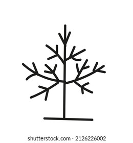 Black outline hand drawing vector illustration of a birch tree without leaves in fall isolated on a white background
