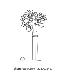 A Black Outline Hand Drawing Vector Illustration Of An Apple Tree Isolated On A White Background