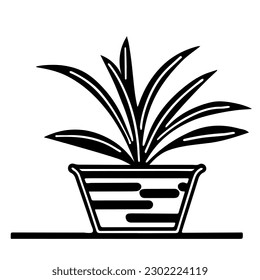 Dibujo de una planta decorativa Sansevieria en una olla aislada en fondo blanco