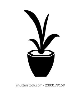 Dibujo de una planta decorativa Sansevieria en una olla aislada en fondo blanco