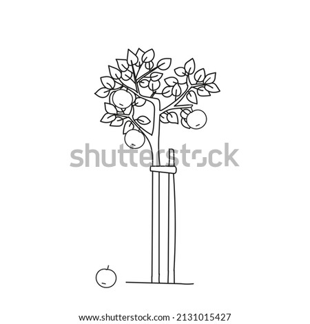 A Black outline hand drawing vector illustration of an apple tree isolated on a white background