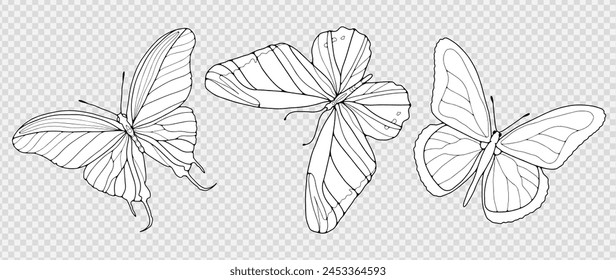 Black outline of hand-drawn butterflies isolated on a transparent background. Silhouettes of butterflies, objects for coloring.