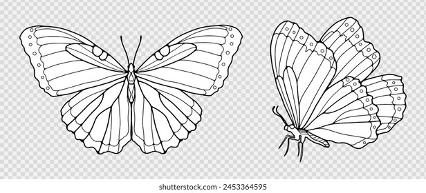 Black outline of hand-drawn butterflies isolated on a transparent background. Silhouettes of butterflies, objects for coloring.