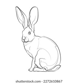 Black outline hare on white background. Graphic drawing. Vector illustration.