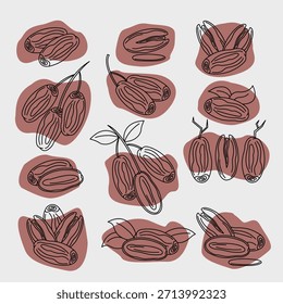 Conjunto de iconos de contorno negro de frutas de fecha con fondos redondos abstractos. Ilustración vectorial limpia y versátil para el Ramadán, ayuno, iconos de la comida y diseños modernos