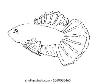 ein schwarzer Umriss ist ein isoliertes Element auf weißem Hintergrund. Farbbuch für Kinder, Fisch bekämpfen. Serienwerk
