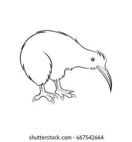 Kiwi Bird Outline Images, Stock Photos & Vectors | Shutterstock