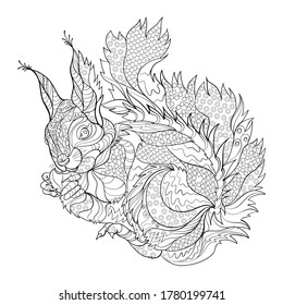 Black outline of a large beautiful squirrel with a nut for coloring, zentangle style, oriental pattern, thin lines of interlacing with curls