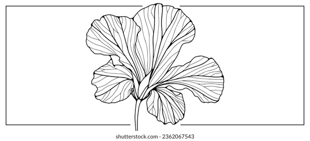 Black outline of a large flower on a white background. A plant for coloring, creating various designs, patterns, covers, cards and presentations.