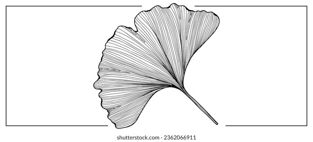 Black outline of a large ginkgo biloba leaf on a white background. Ginkgo biloba branch for coloring, creating various designs, patterns, covers, cards and presentations.