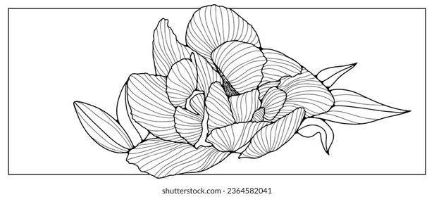 Black outline of a large lush flower with small leaves on a white background. Flower outline for coloring, creating designs and patterns. Silhouette of a lush peony.