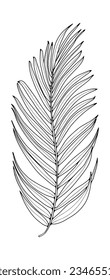 Black outline of a large palm leaf on a white background. Botanical object for coloring books, decor, covers, patterns and designs.