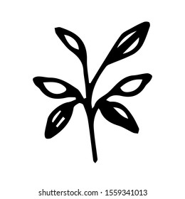 The black outline of the leaf is drawn by hand on an isolated white background. Simple twig for design.