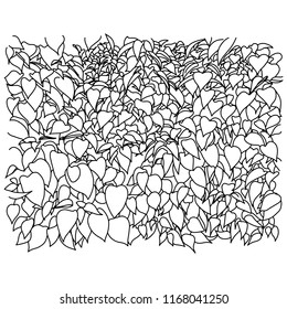 black outline leaf vector illustration sketch doodle hand drawn with black lines isolated on white background