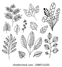 Black outline leaves doodles set. Vector botanical illustration.