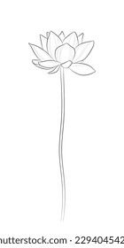 Black outline lotus flower (Nelumbo nucifera) on white background. Graphic drawing. Vector illustration.