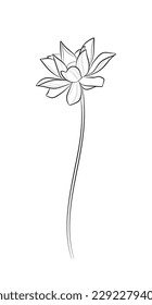 Black outline lotus flower on white background. Graphic drawing. Vector illustration.